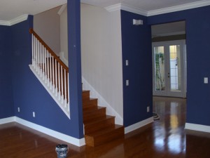 Sydney best house painters